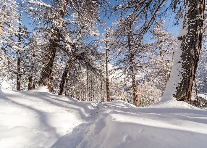 公寓 御夫座公寓 *